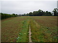 Path to Walberton Church in BN18 0PN