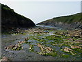 Low tide in Port Quin in PL29 3SU