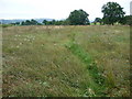 Path through a marshy meadow south of Llanwnog in August in SY17 5JG