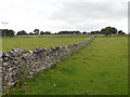 Fields & a drystone wall in DE45 1JF