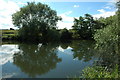 The River Avon, near Charlton in WR10 3LA