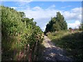 Former railway line near Broadheath in WA14 5YS