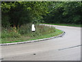 Milepost on bend of the B2130 in GU6 8LG