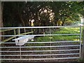 Farm gate in PO14 3XD