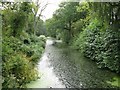Wey Arun Canal on the west side of Fast Bridge in GU6 8HX