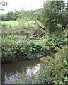 River Blythe south of Barston in B92 0JY
