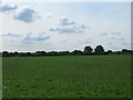 Farmland, Laytham Park in YO42 4PX