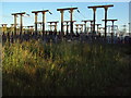 Electricity Sub station in the Mersey Valley in M23 0JS