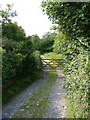 Footpath through Yealand Hall Allotment in LA5 9UD