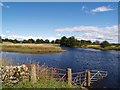 Lanehulcheon Pool, River Dee. in DG7 2LJ