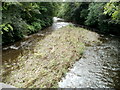 Rhymney River, Ystrad Mynach in CF82 7ES
