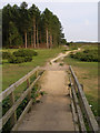 Footbridge and path north of the Dibden Inclosure, New Forest in SO45 5JA
