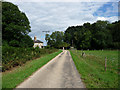 Lane to Broadreed Farm in Stoughton