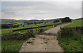 Cattle grid near Clough Head in SK11 0SL