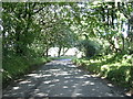 Tree lined road near Stonehall Farm in SA62 5NT
