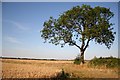 Farmland near Thorpe-le-Fallows in LN1 2BS