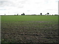 Field near Copston Magna in LE17 5BA