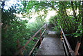 Footbridge across a small stream north of Shipbourne in TN11 9PR