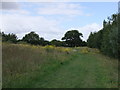 Meadow within Great Notley Country Park in CM77 7WG