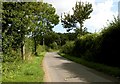 Country road by the Flushing Farm in CO10 5PT