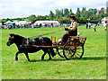 Pony and carriage, Cricklade Show 2010 in SN6 6HL