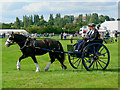 Horse and carriage, Cricklade Show 2010 in SN6 6HL