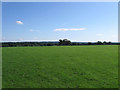 The Crate Field/East Field in RH13 8NB