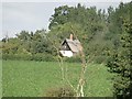Thatched cottage in the distance in Braiseworth