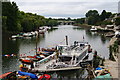 River Thames, Richmond, Surrey in TW1 2LT