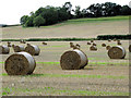 Roly Poly straw bales in SP5 3HW