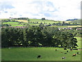 Panorama from Willimoteswick (3: N - Redburn) in NE47 7DD