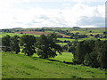 Panorama from Willimoteswick (6: WNW) in NE47 7DA