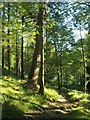Path in Skelghyll Wood in LA22 0AJ