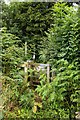 Kissing gate on the footpath in HP14 4BY