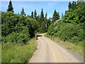 Track in Kielder Forest in NE48 1HL