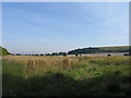Fields north of Town End Farm in SR5 3LT