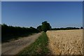 Byway to RAF Honington in Troston