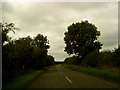 Trees on the road from Scarcliffe in S44 6SX