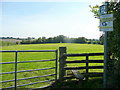 Pastoral scene north of Lugwardine in HR1 4AF