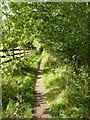 Footpath from New Road to the footbridge over the M61 in PR6 9HG