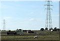 2010 : Piggery and pylons north of Eastcott in SN10 4PL