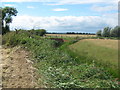 Hangman's Toll Bridge and drain in Brenzett