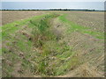 Drain in Romney Marshes in TN29 0BD