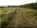 Track near Copston Magna in LE17 5BA