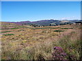 Moorland near Tighnaleac in IV4 7AE