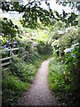 The South West Coast Path coming out of Mevagissey northwards in PL26 6RZ