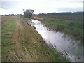 View from Winford Bridge, Romney Marsh in TN28 8XQ