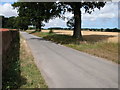 Wall Road, Wolterton in Wickmere