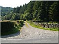 Road to Glenyerrock Farm in DG7 1QQ