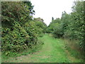 Path on dismantled railway line, Roydon in PE32 1BP